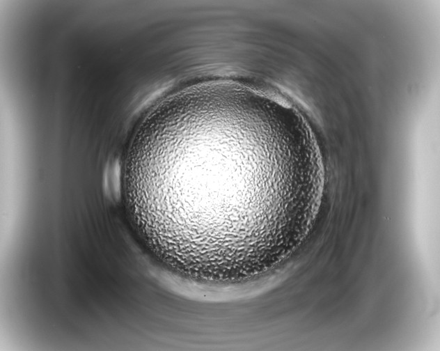 X0000085780014200703161216