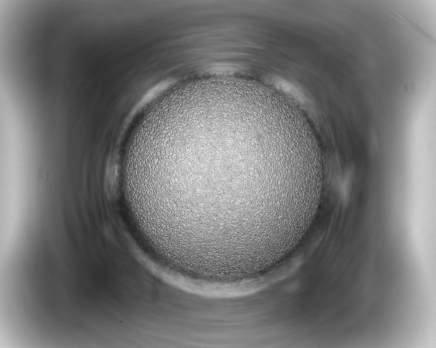 X0000085780016200703161216