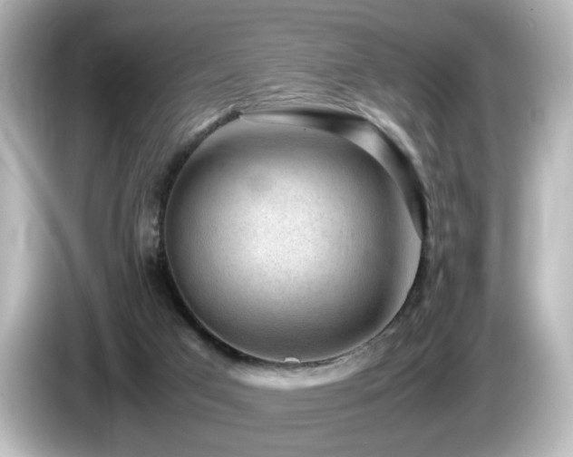 X0000085780017200703161216