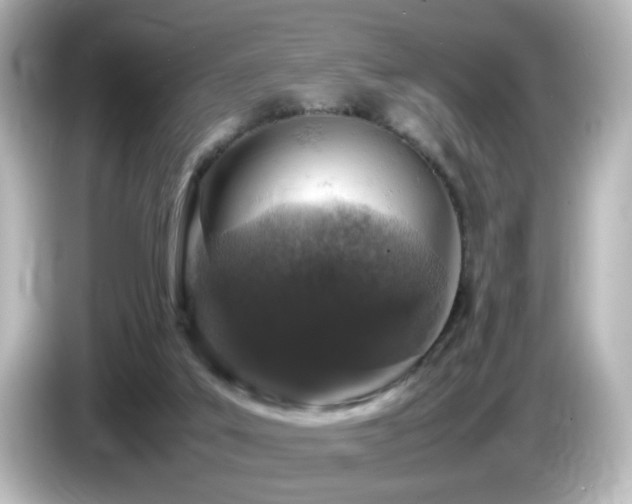 X0000085780019200703161216