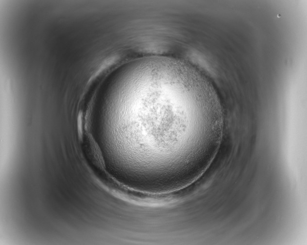 X0000085780020200703161216