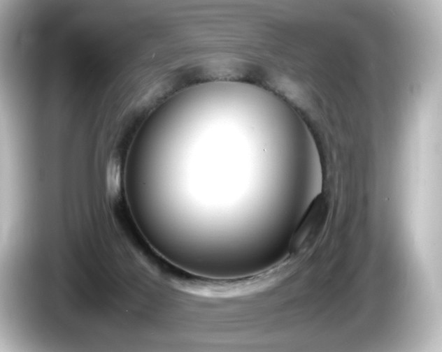 X0000085780021200703161216