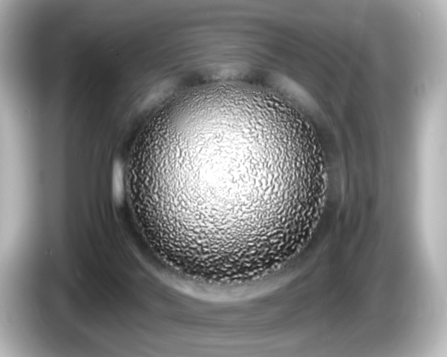 X0000085780022200703161216