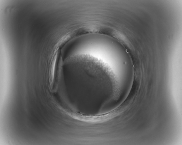 X0000085780023200703161216