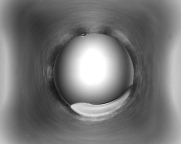 X0000085780025200703161216