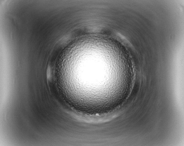 X0000085780026200703161216