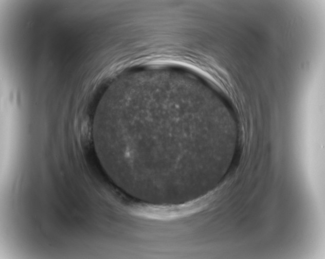 X0000085780029200703161216