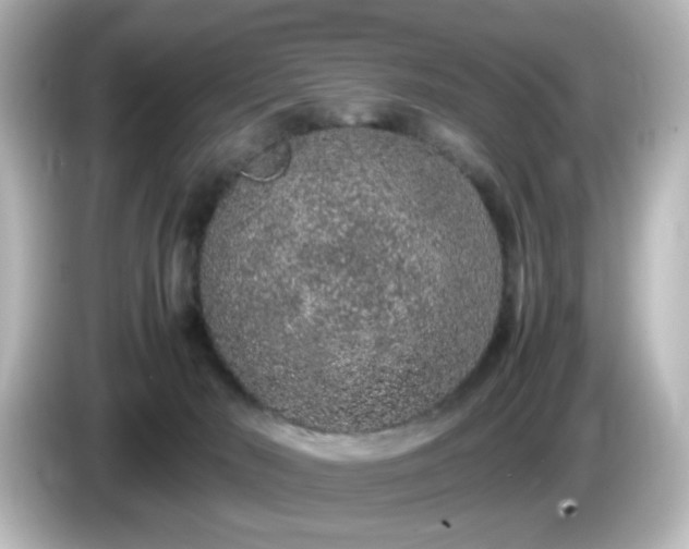 X0000085780030200703161216