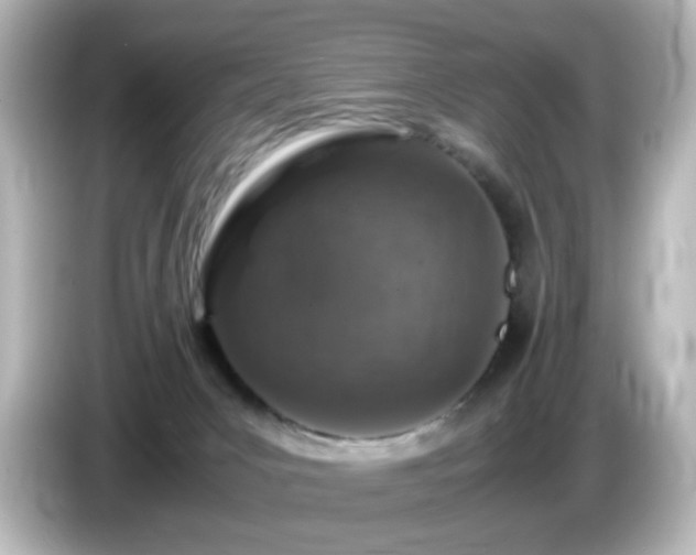 X0000085780031200703161216