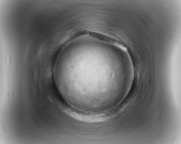 X0000085780032200703161216