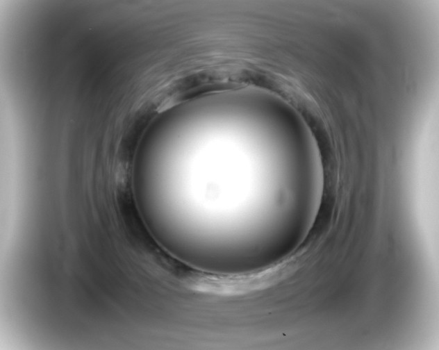 X0000085780033200703161216