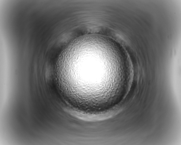 X0000085780034200703161216