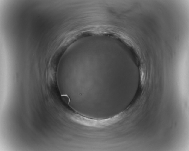 X0000085780035200703161216