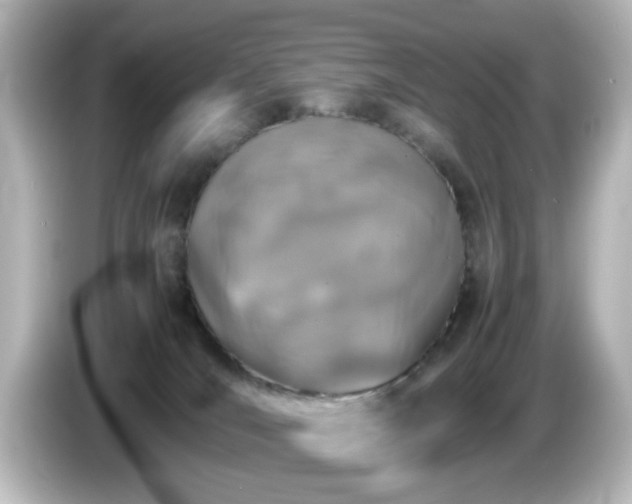 X0000085780036200703161216