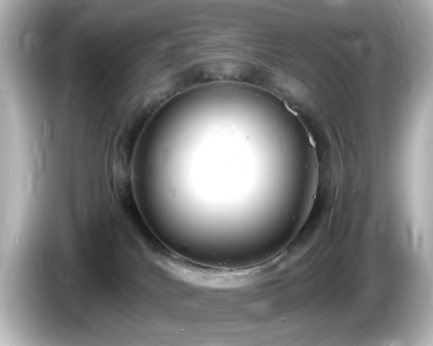 X0000085780040200703161216