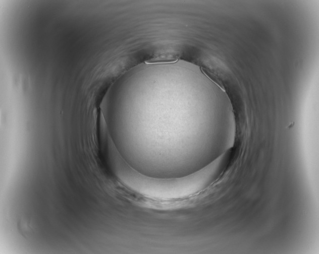 X0000085780041200703161216