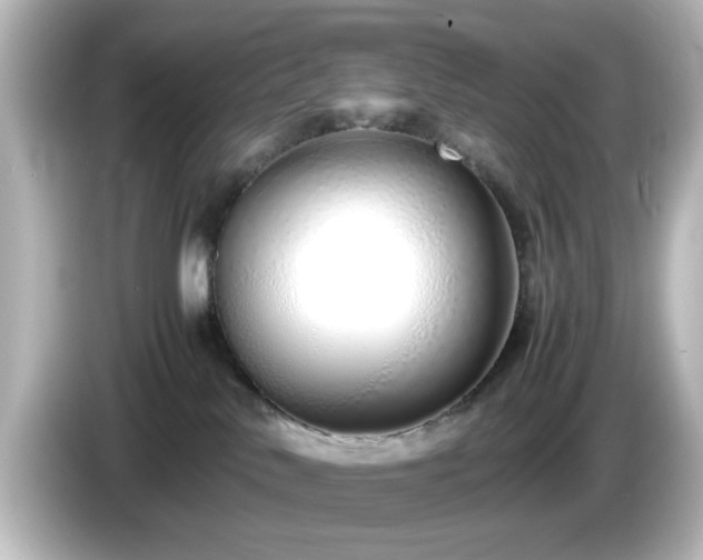 X0000085780042200703161216