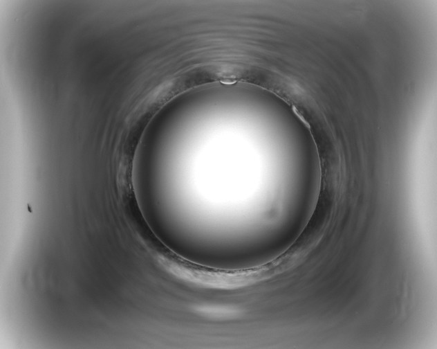 X0000085780044200703161216