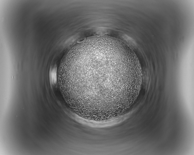 X0000085780046200703161216