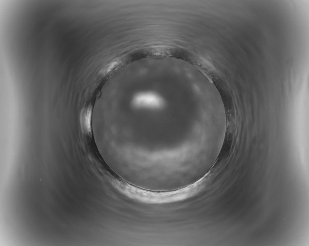 X0000085780047200703161216