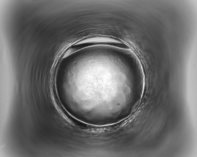 X0000085780049200703161215