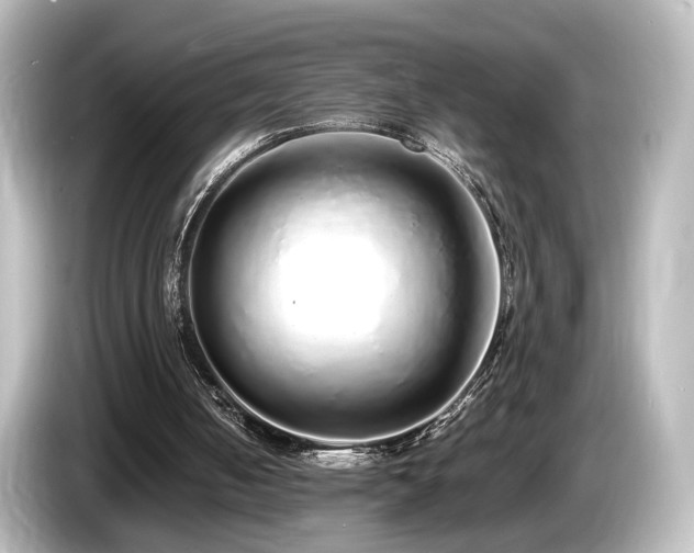 X0000085780050200703161215