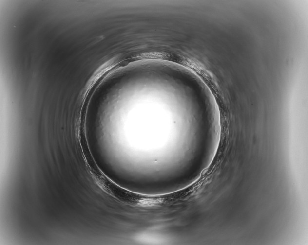 X0000085780051200703161215