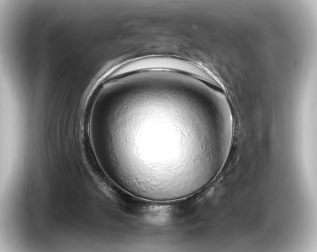 X0000085780055200703161215