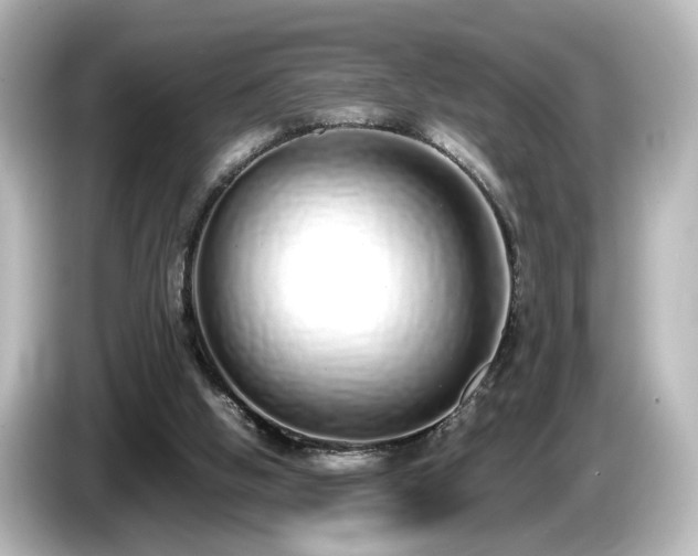 X0000085780058200703161215