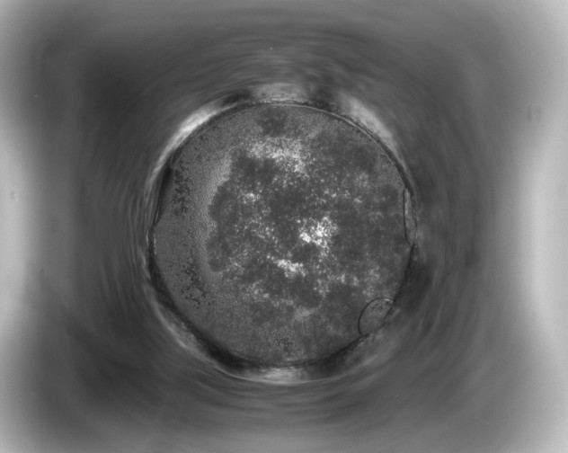 X0000085780059200703161215