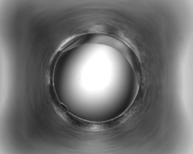 X0000085780060200703161215