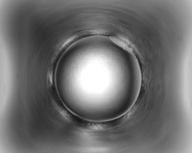 X0000085780062200703161215