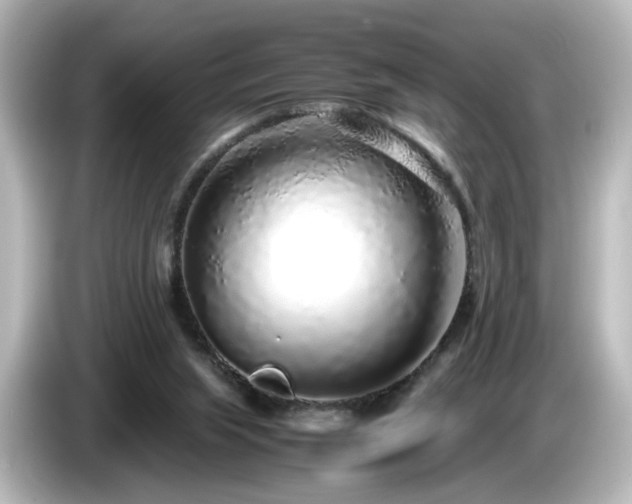 X0000085780063200703161215