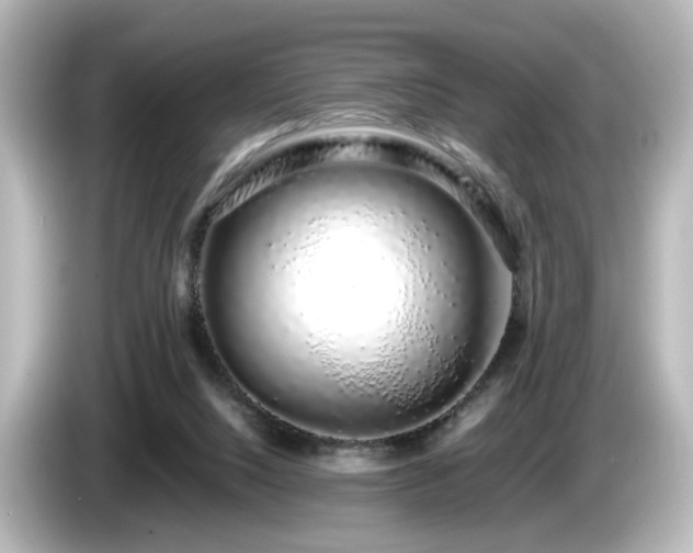 X0000085780064200703161215