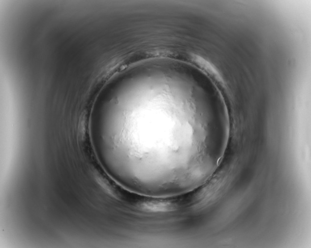 X0000085780065200703161215