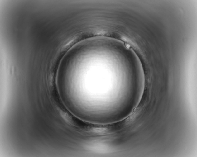 X0000085780066200703161215