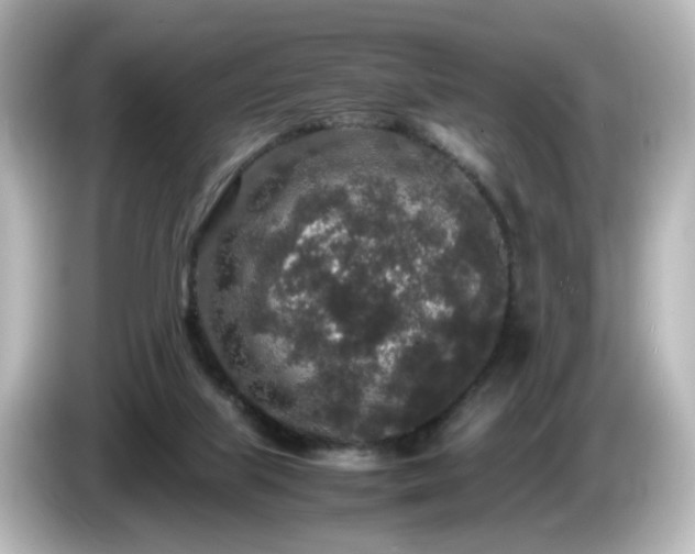 X0000085780067200703161215