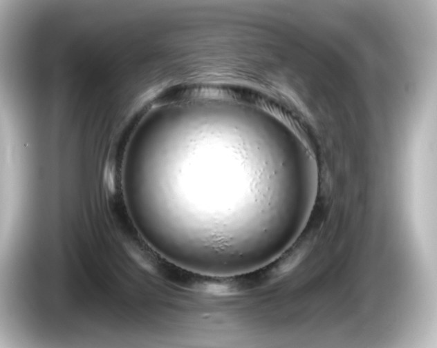 X0000085780068200703161215