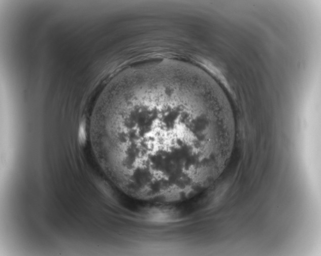 X0000085780069200703161215