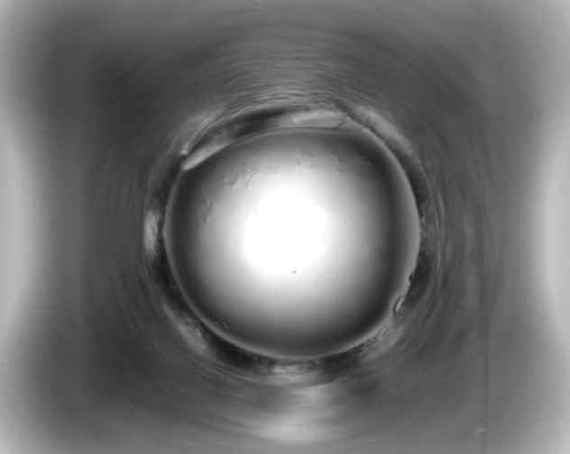 X0000085780070200703161215