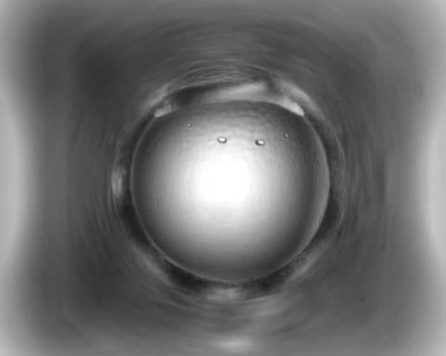 X0000085780071200703161215