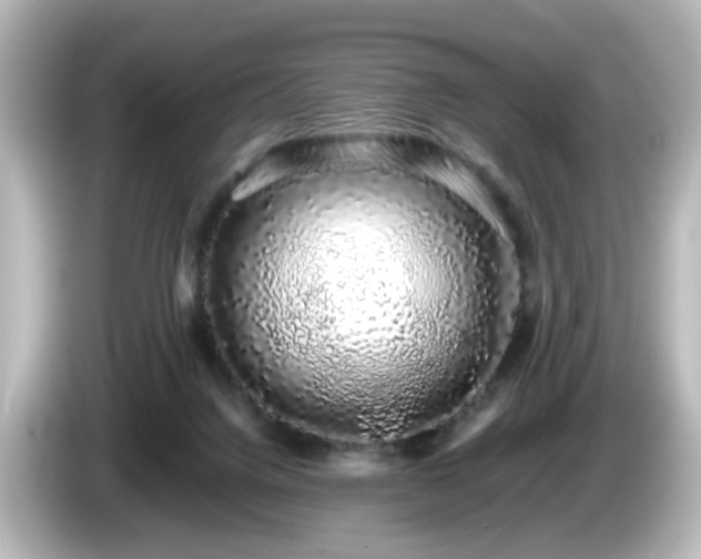 X0000085780072200703161215