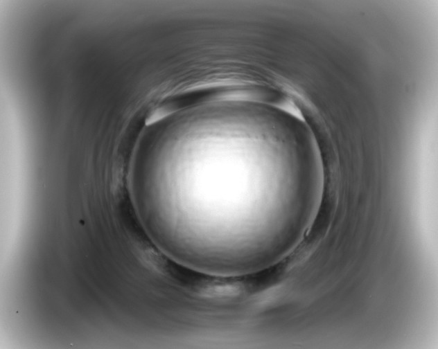 X0000085780073200703161215