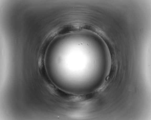 X0000085780074200703161215