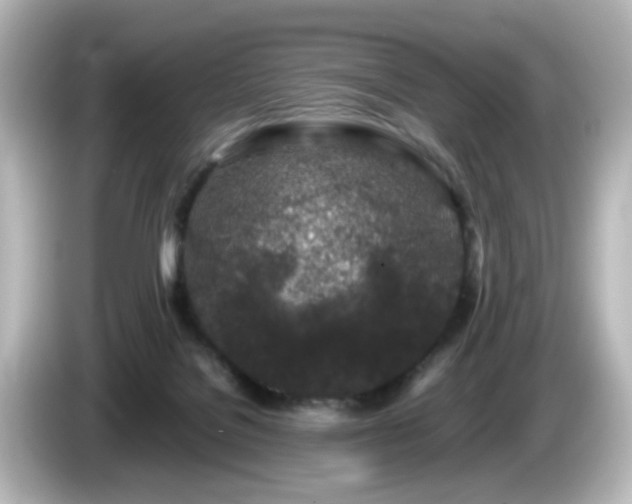 X0000085780076200703161216