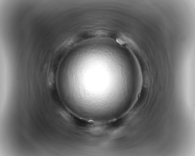 X0000085780077200703161216