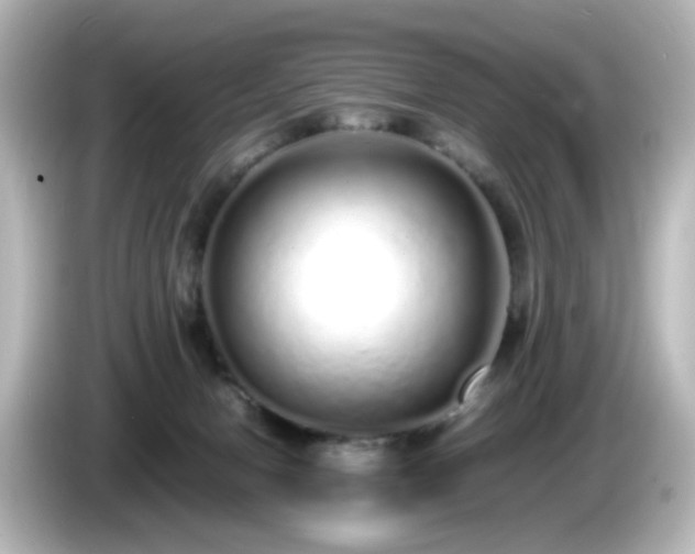 X0000085780078200703161216