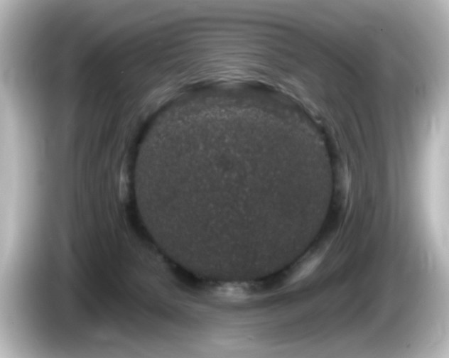 X0000085780080200703161216