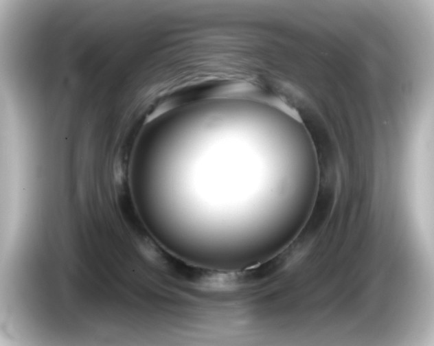 X0000085780084200703161216