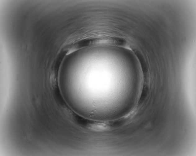 X0000085780086200703161216